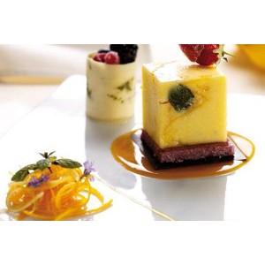 STAMPO SILICONE 8 CUBI MM50X50 H50